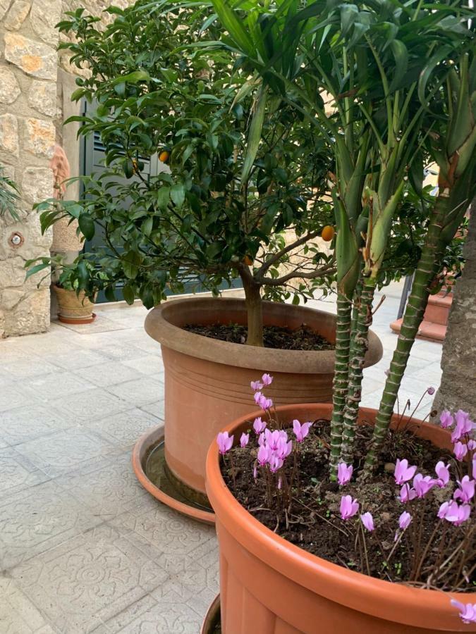 Hedera Capri B&B Anacapri  Zewnętrze zdjęcie